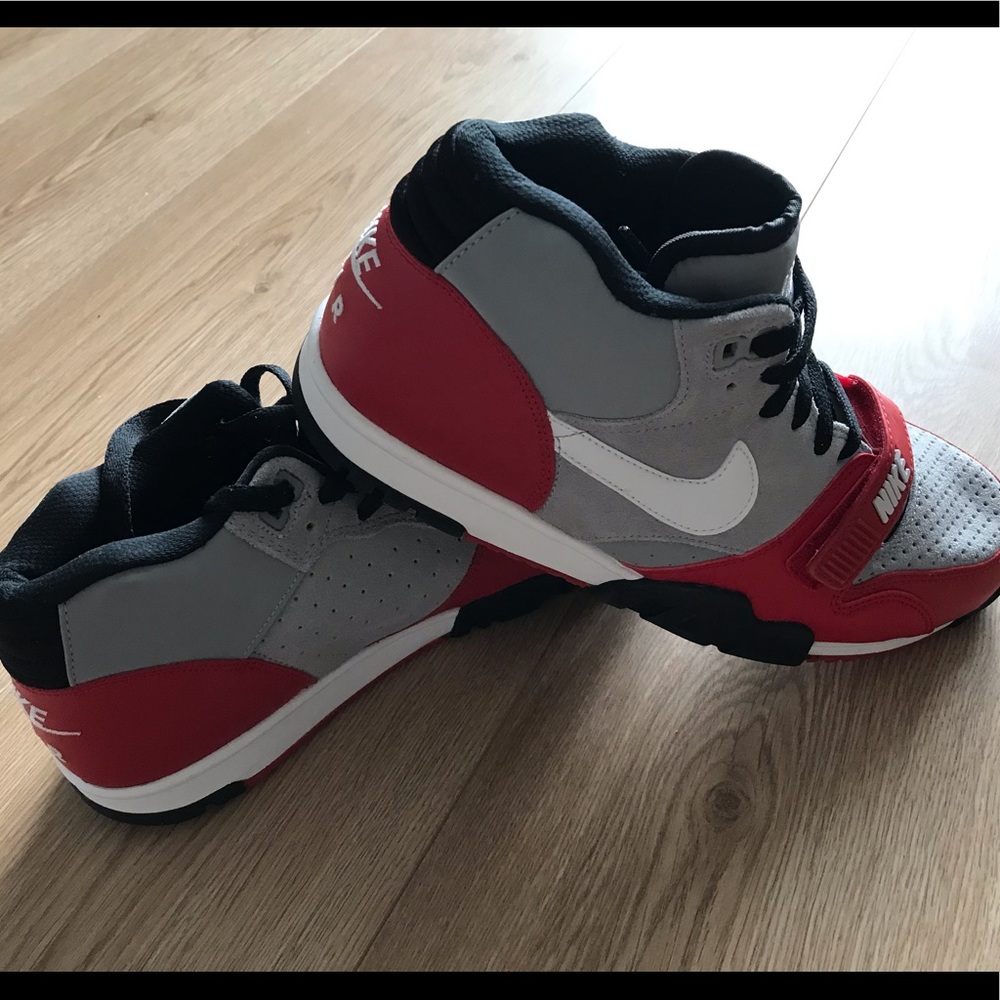 Air Trainer 1 Mid Wolf Grey/University Red (2015)